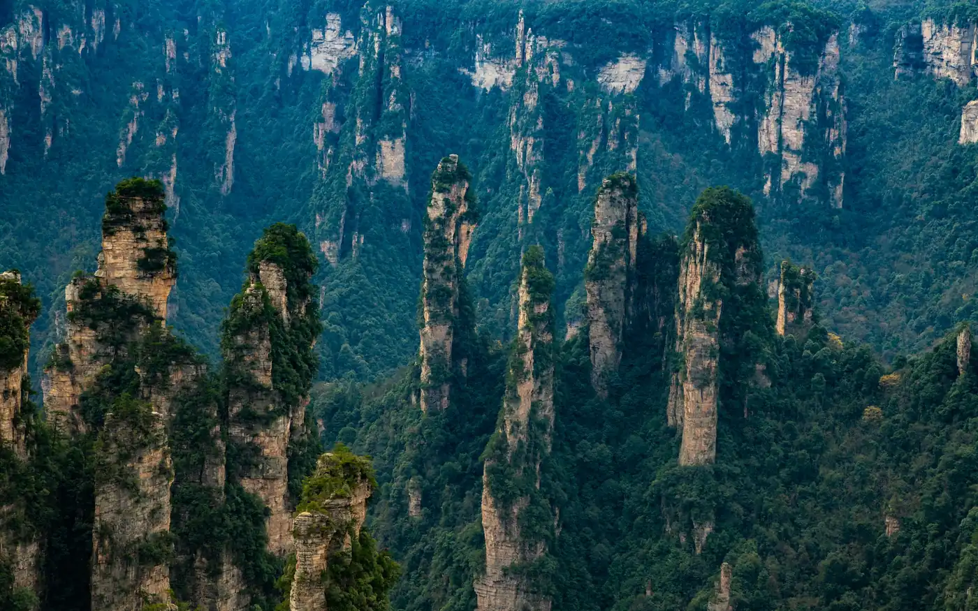 Sandstone pillars rising above the forest in Zhangjiajie National Forest Park, Hunan, China