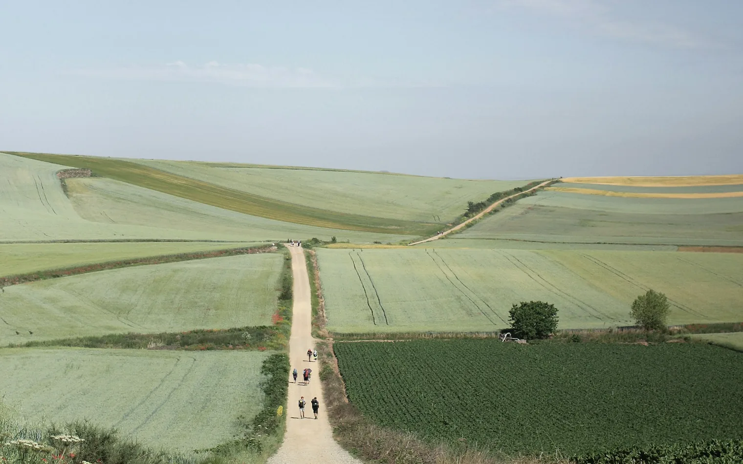 Pilgrims with backpacks walking a dirt track across farmland on the Camino de Santiago in northern Spain